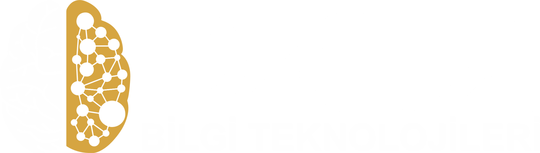 Data Bilgi Teknolojileri