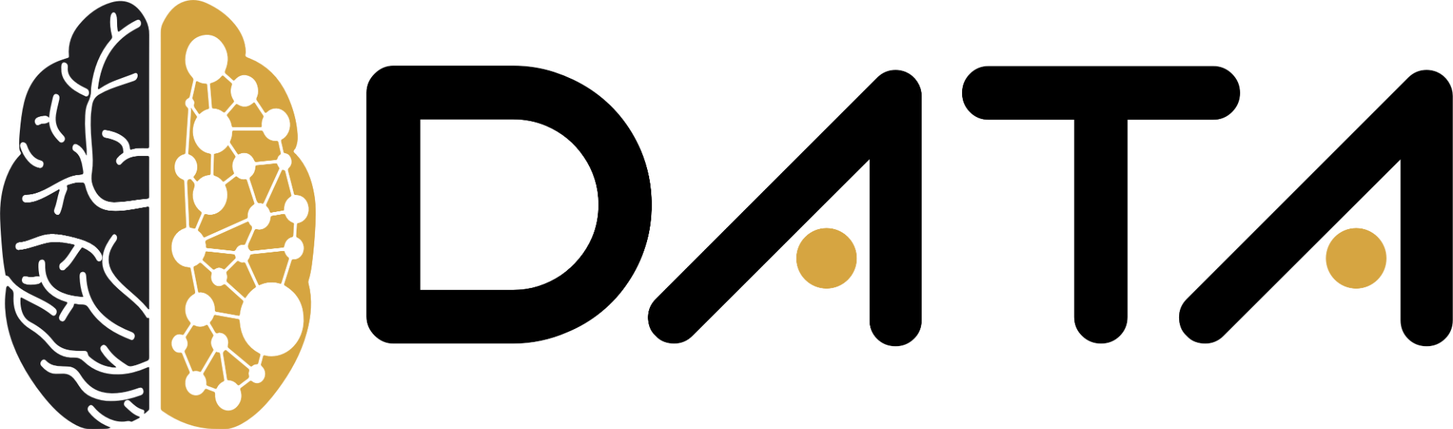 Data Bilgi Teknolojileri Logo